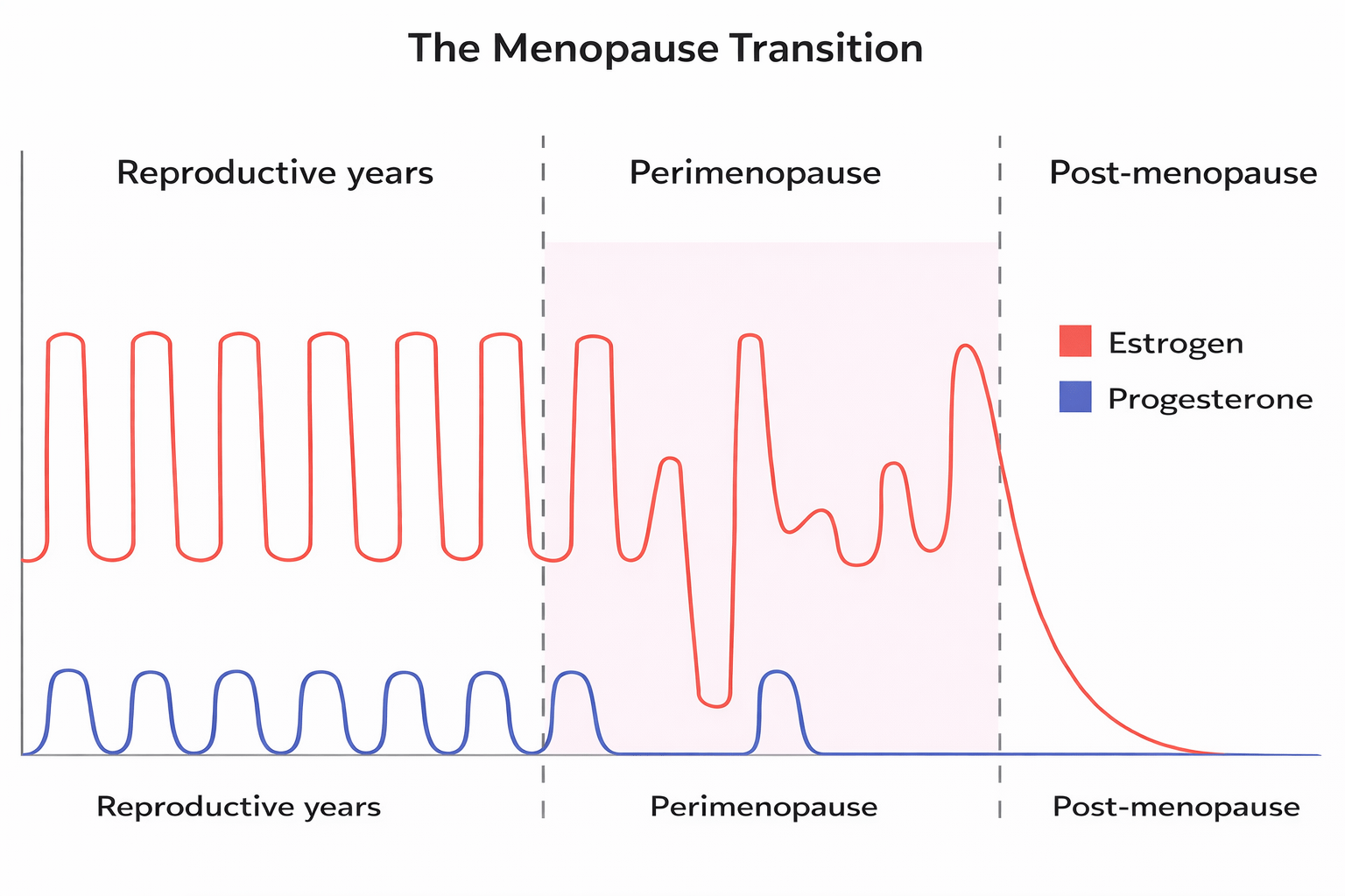 Common menopause and perimenopause symptoms